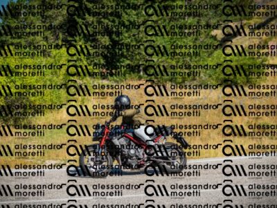 202608091030-DSC03040_c1_