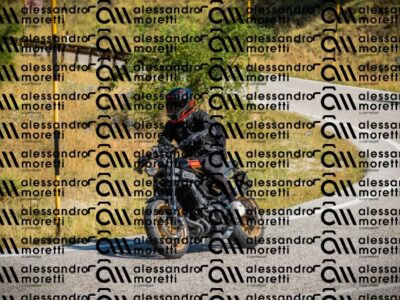 202608091030-DSC03046_c1_
