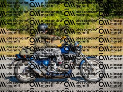 202608091033-DSC03101_c1_