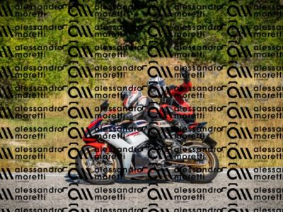 202608091102-DSC03532_c1_