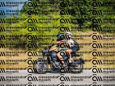 202608091109-DSC03630_c1_