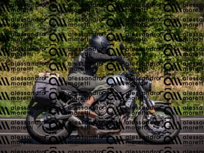 20260817120654-DSC_0359_c6_