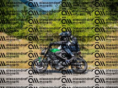 202608091237-DSC05354_c1_
