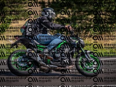 20260818105450-DSC_0611_c6_