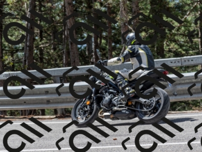 27042024-500_7395