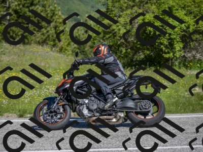 26052024-Z62_3736