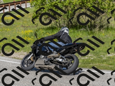 26052024-Z62_3896