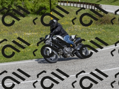 26052024-Z62_4291
