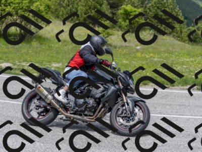 26052024-Z62_5134