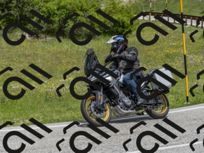 26052024-Z62_5170