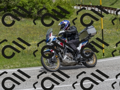 26052024-Z62_5174
