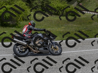 26052024-Z62_5841