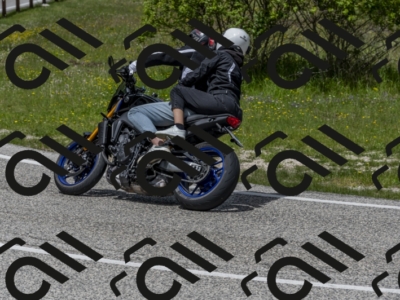 26052024-Z62_5882