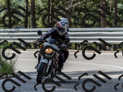 29062024-500_7389