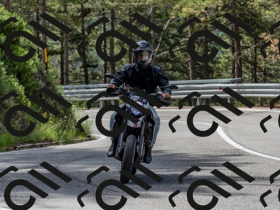 29062024-500_7668