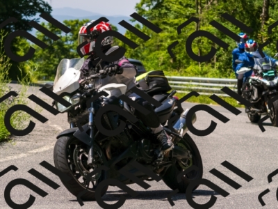 30062024-_DSC3101