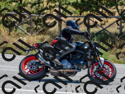 14072024-Z62_6060