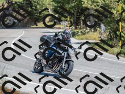14072024-Z62_7048