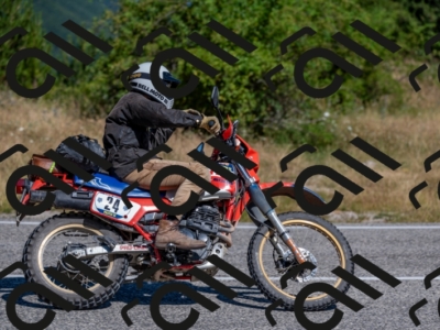 21072024-Z62_7853