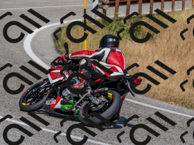 27072024-500_3168