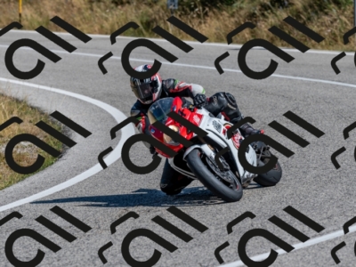 28072024-Z62_1897