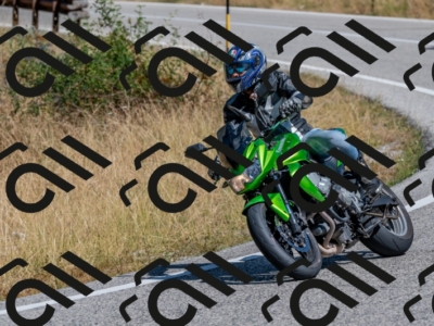 28072024-Z62_2360