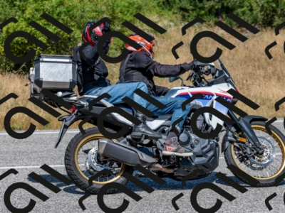 28072024-Z62_3415