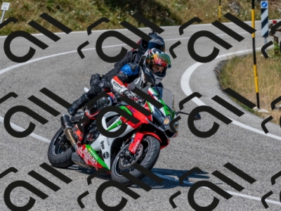 28072024-Z62_3486