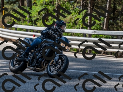 04082024-Z62_5346