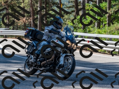 10082024-Z62_7378