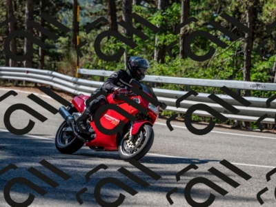 10082024-Z62_7474