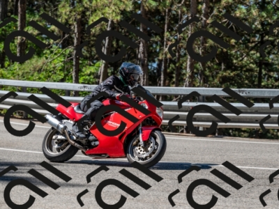 10082024-Z62_7475
