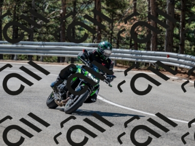 10082024-Z62_7669