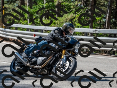 25082024-Z62_2942
