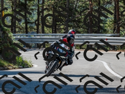 25082024-Z62_2960