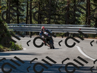 25082024-Z62_2966