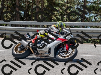 25082024-Z62_4406