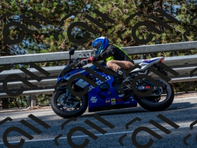 25082024-Z62_2489