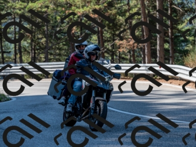 25082024-Z62_2497