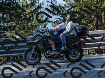 25082024-Z62_2503