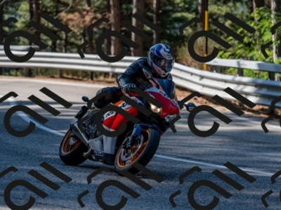 25082024-Z62_2512