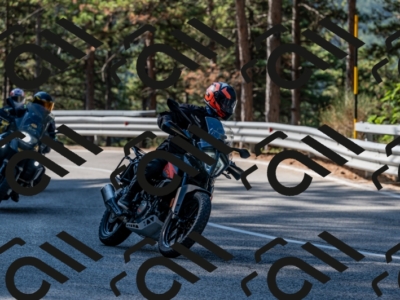 25082024-Z62_2518