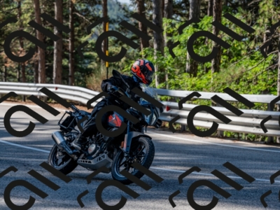 25082024-Z62_2519