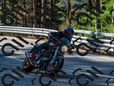 25082024-Z62_2527