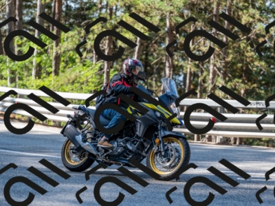 25082024-Z62_2541