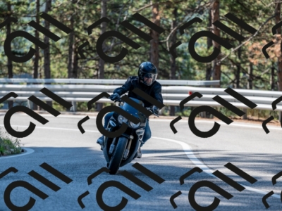 25082024-Z62_2559