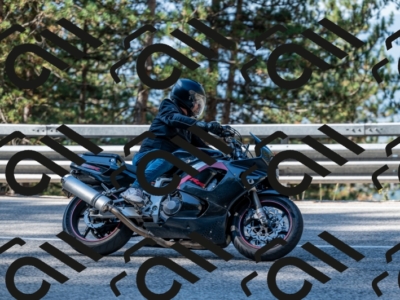 25082024-Z62_2561