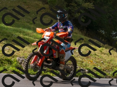 08092024-_DSC8648
