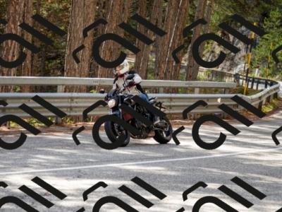 MG_6043