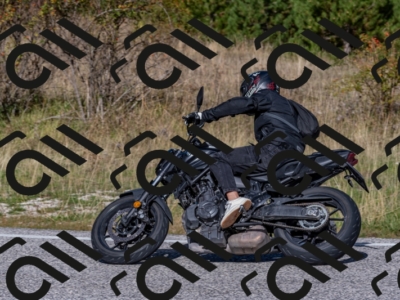 21092024-500_4078
